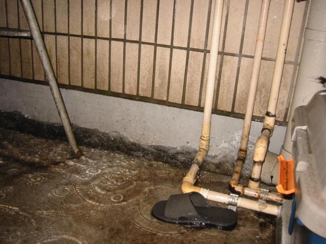 grp1009181259.JPG 640480 50K